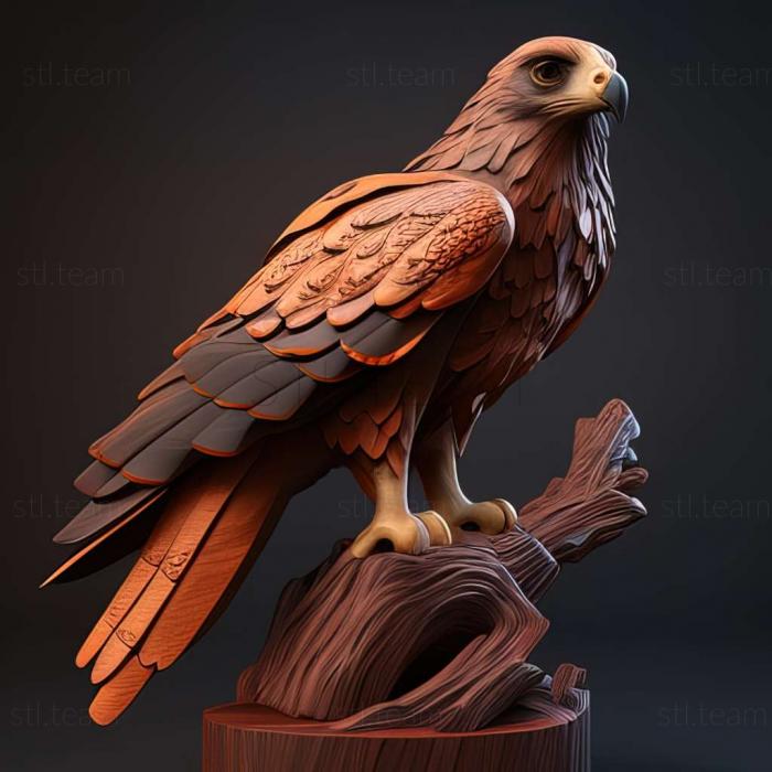 3D модель Buteo trizonatus (STL)